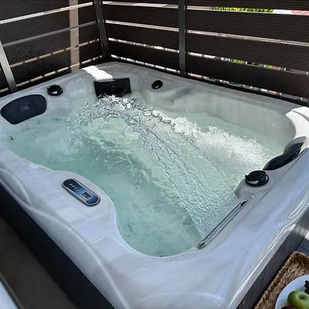 Flev's Luxury House With Pool